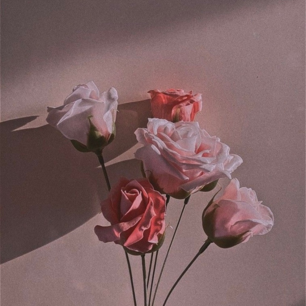 Meet your Posher, Natalia